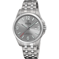 Watch Festina Man in Titanium F20696/2 - F20696/2